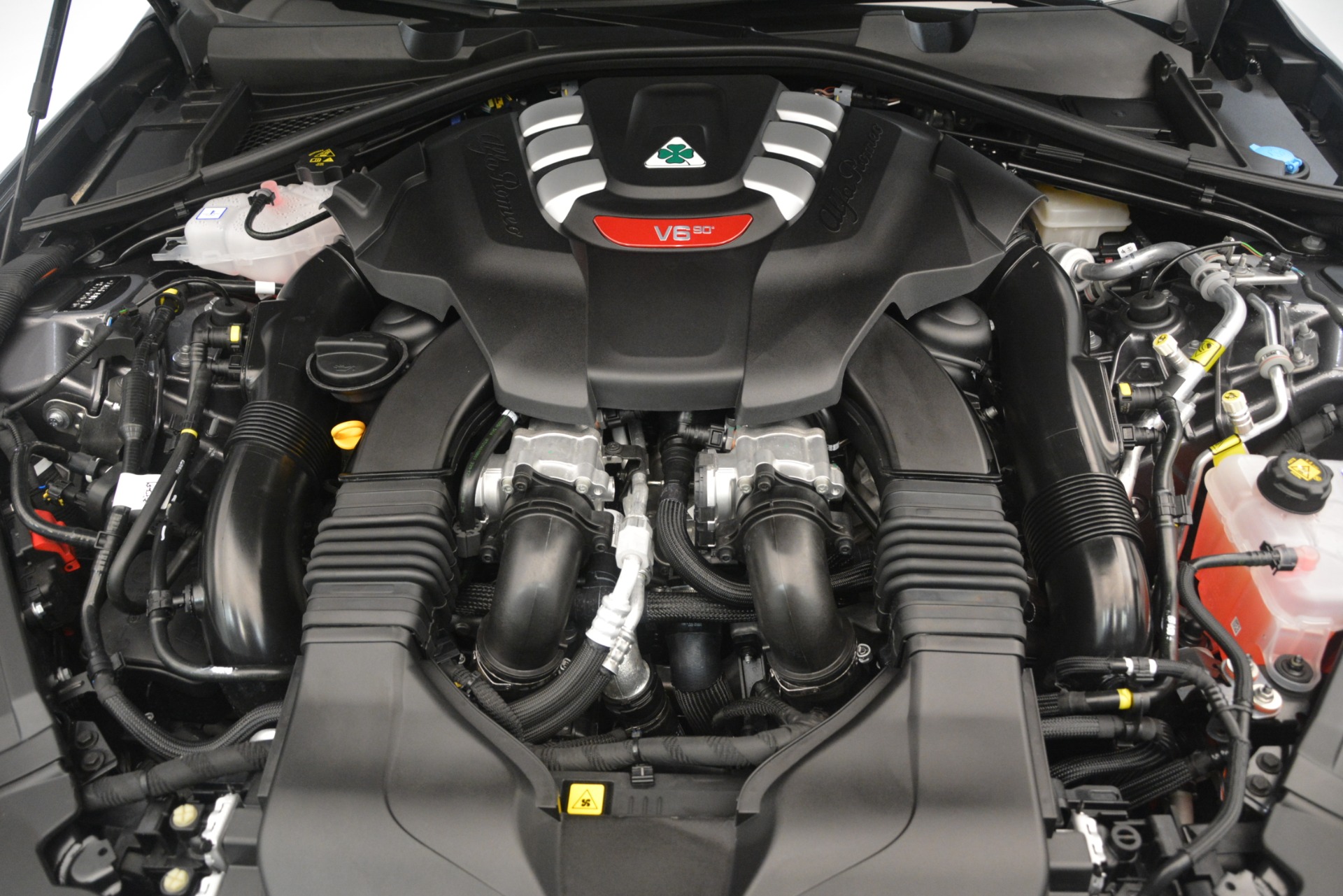 New 2019 Alfa Romeo Giulia Quadrifoglio | St. Petersburg, FL