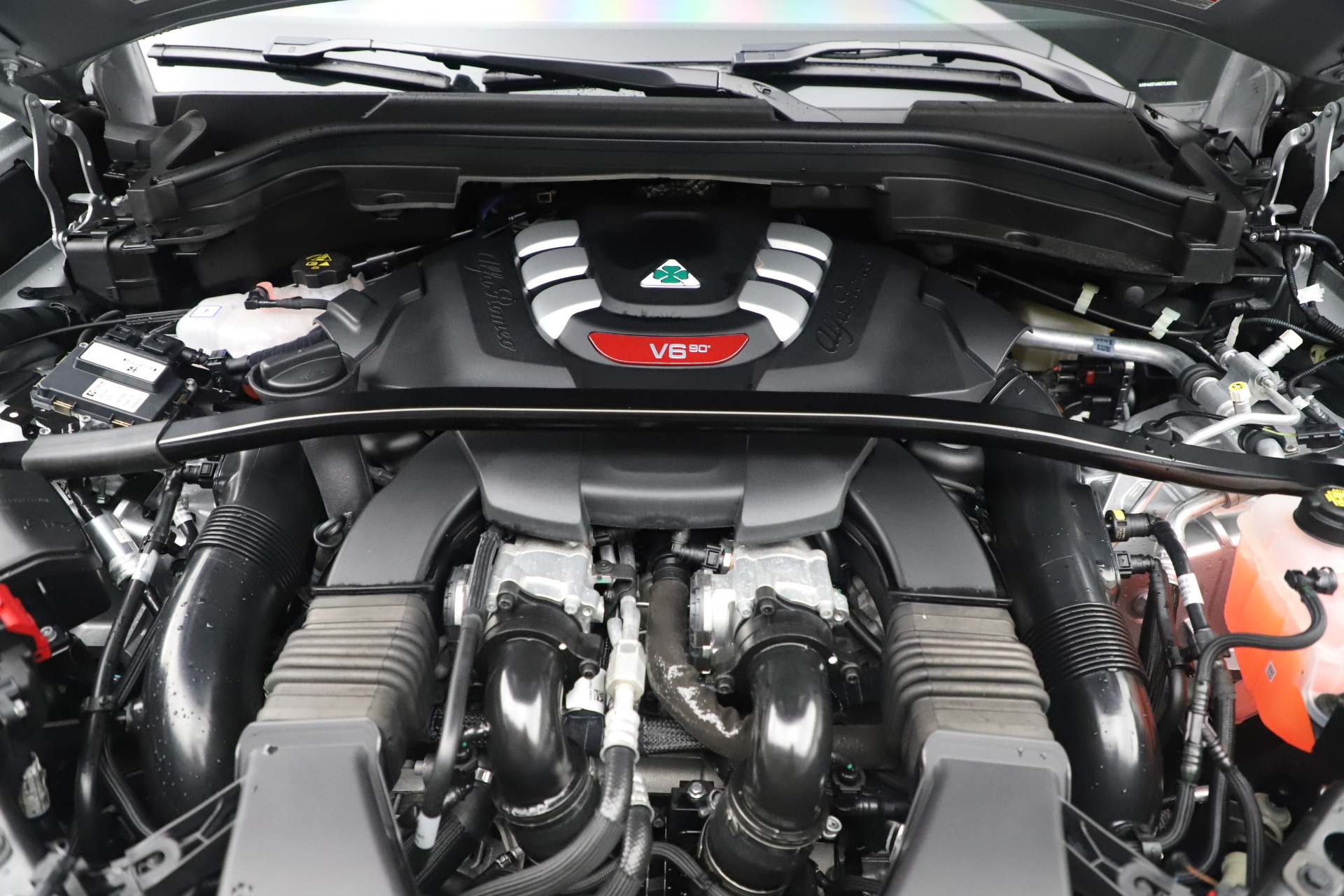 Used 2019 Alfa Romeo Stelvio Quadrifoglio | St. Petersburg, FL