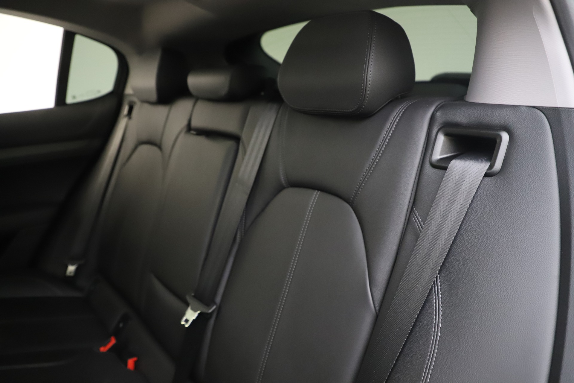 New 2019 Alfa Romeo Stelvio Ti Q4 | St. Petersburg, FL