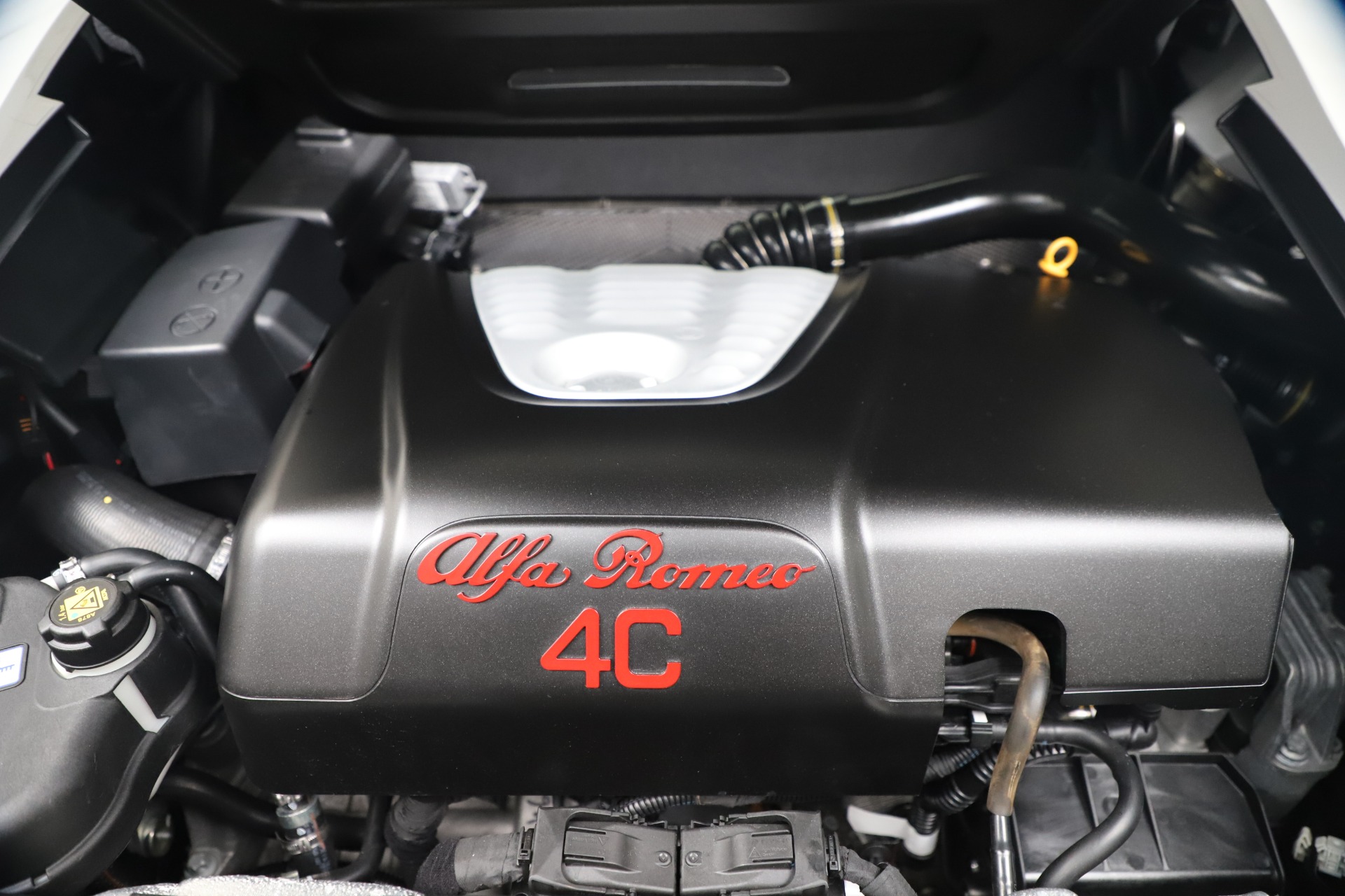 New 2020 Alfa Romeo 4C Spider | St. Petersburg, FL