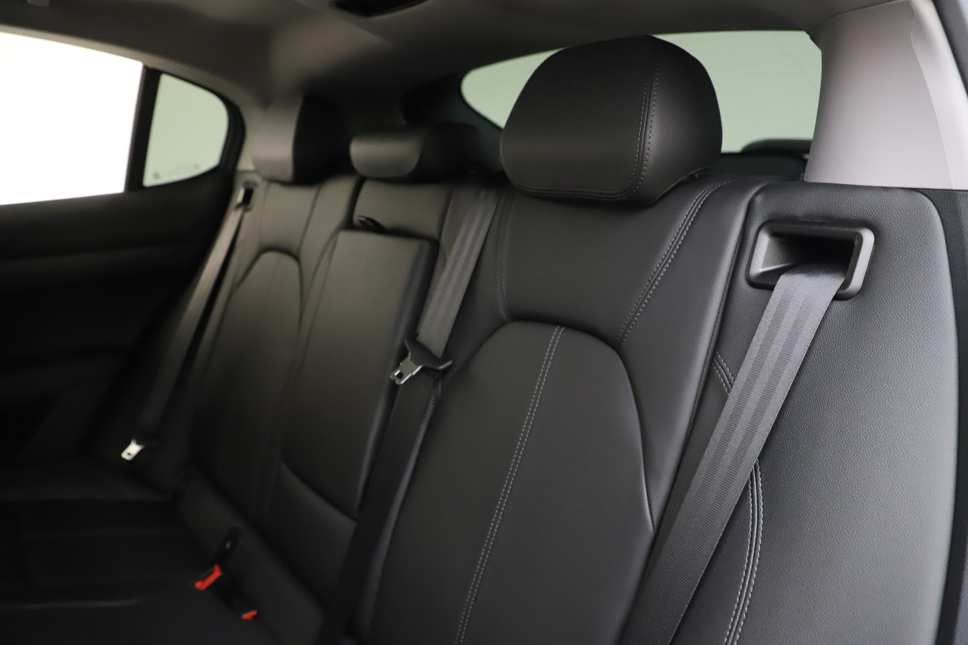 New 2020 Alfa Romeo Stelvio Q4 | St. Petersburg, FL