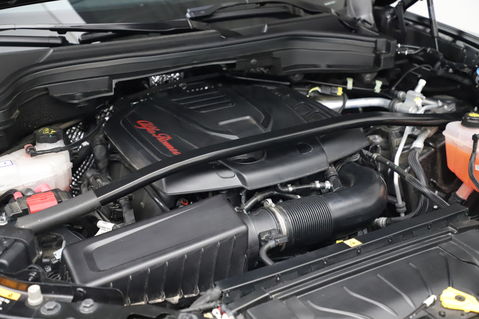 New 2020 Alfa Romeo Stelvio Q4 | St. Petersburg, FL