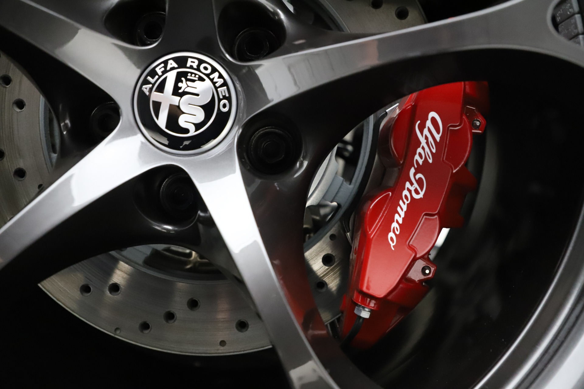 New 2020 Alfa Romeo Stelvio Quadrifoglio | St. Petersburg, FL