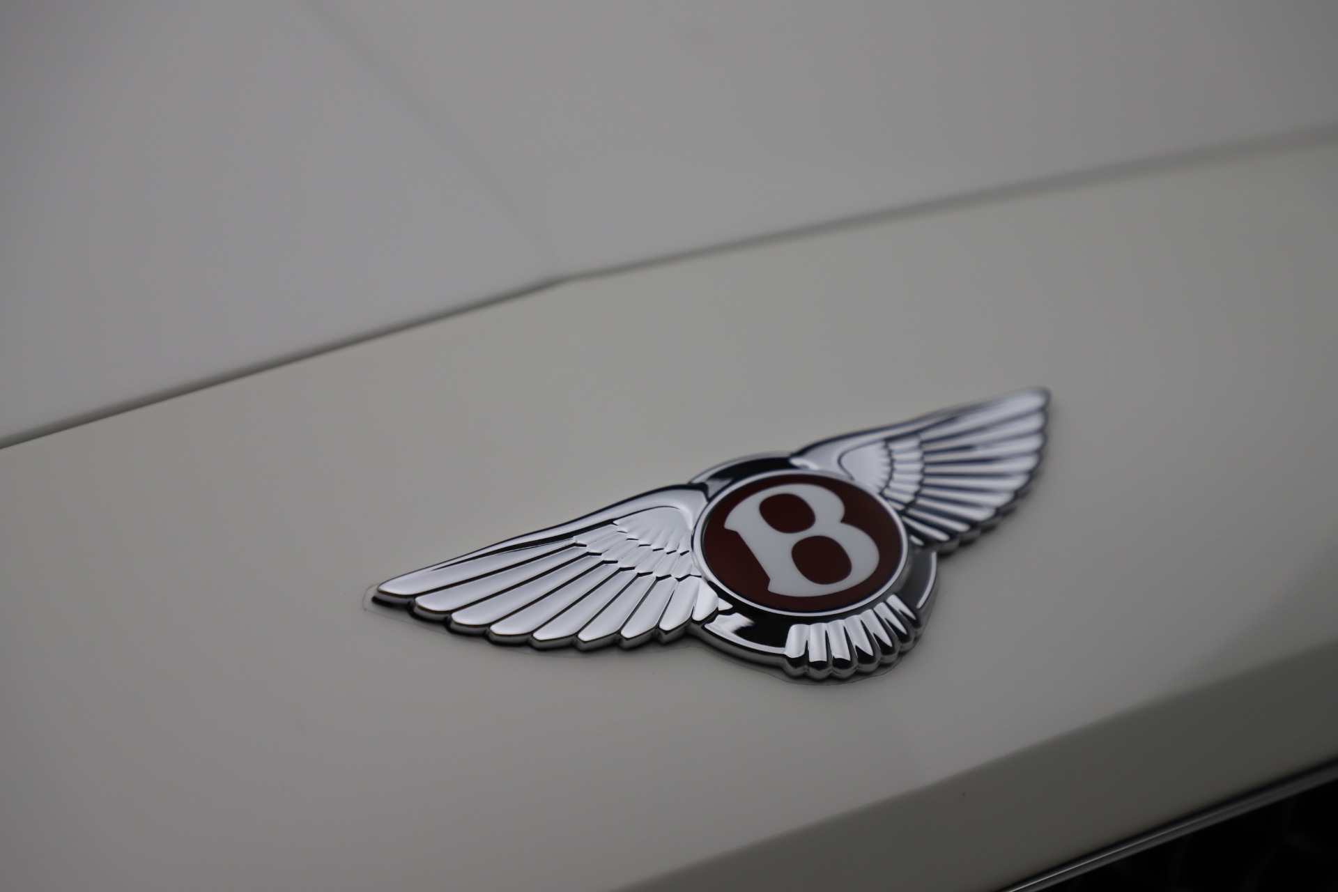 Used 2014 Bentley Continental GTC V8 | St. Petersburg, FL