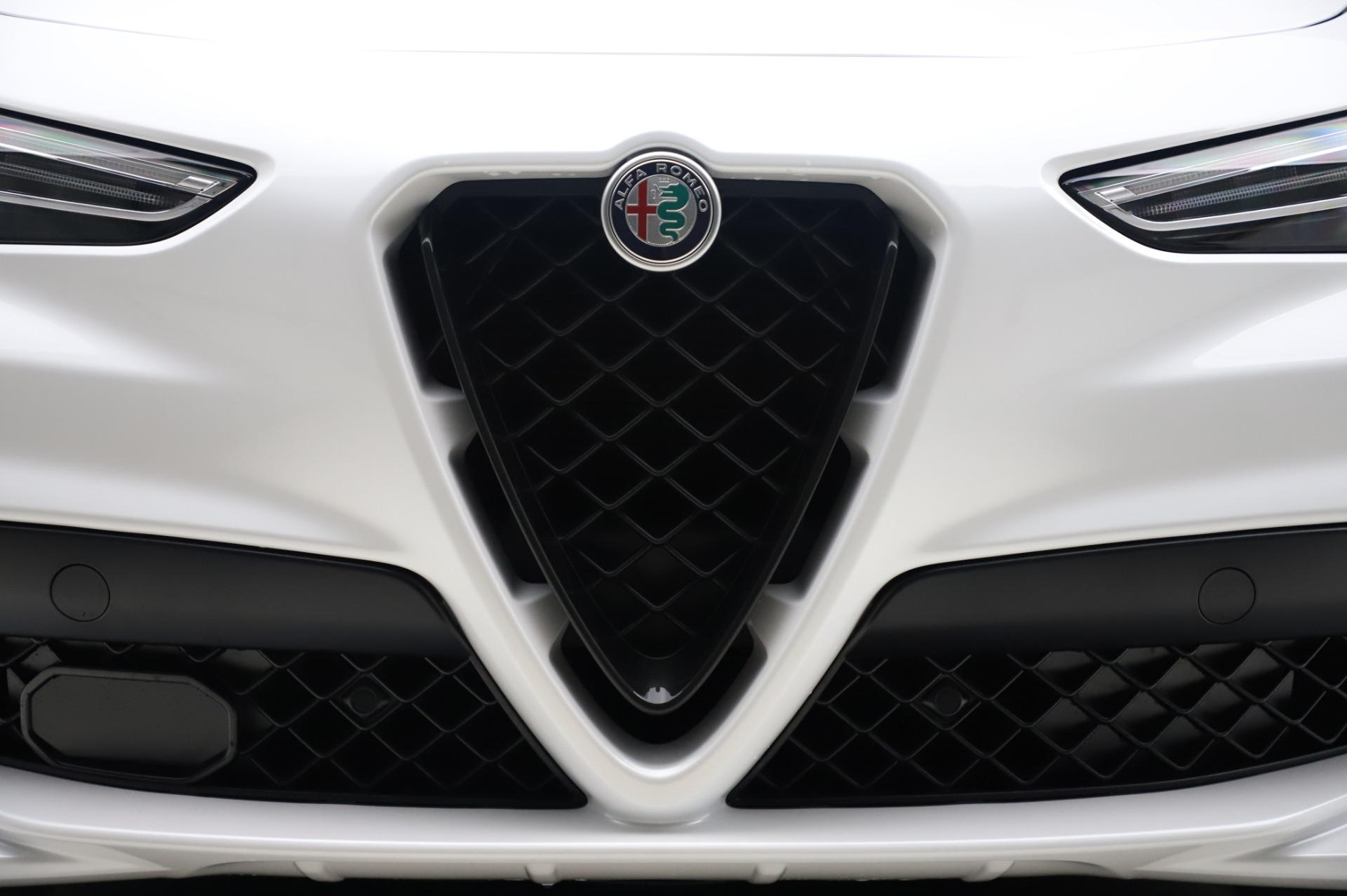 New 2020 Alfa Romeo Stelvio Quadrifoglio | St. Petersburg, FL