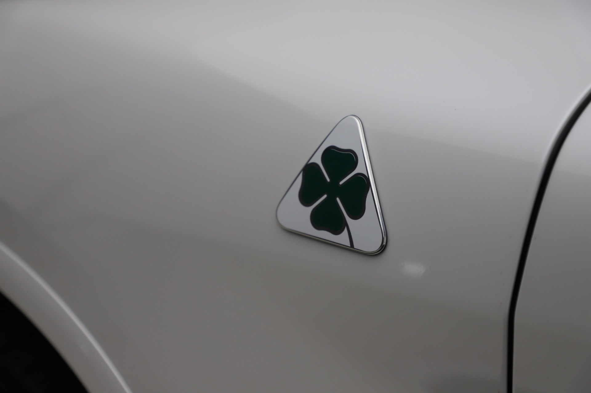 New 2020 Alfa Romeo Stelvio Quadrifoglio | St. Petersburg, FL
