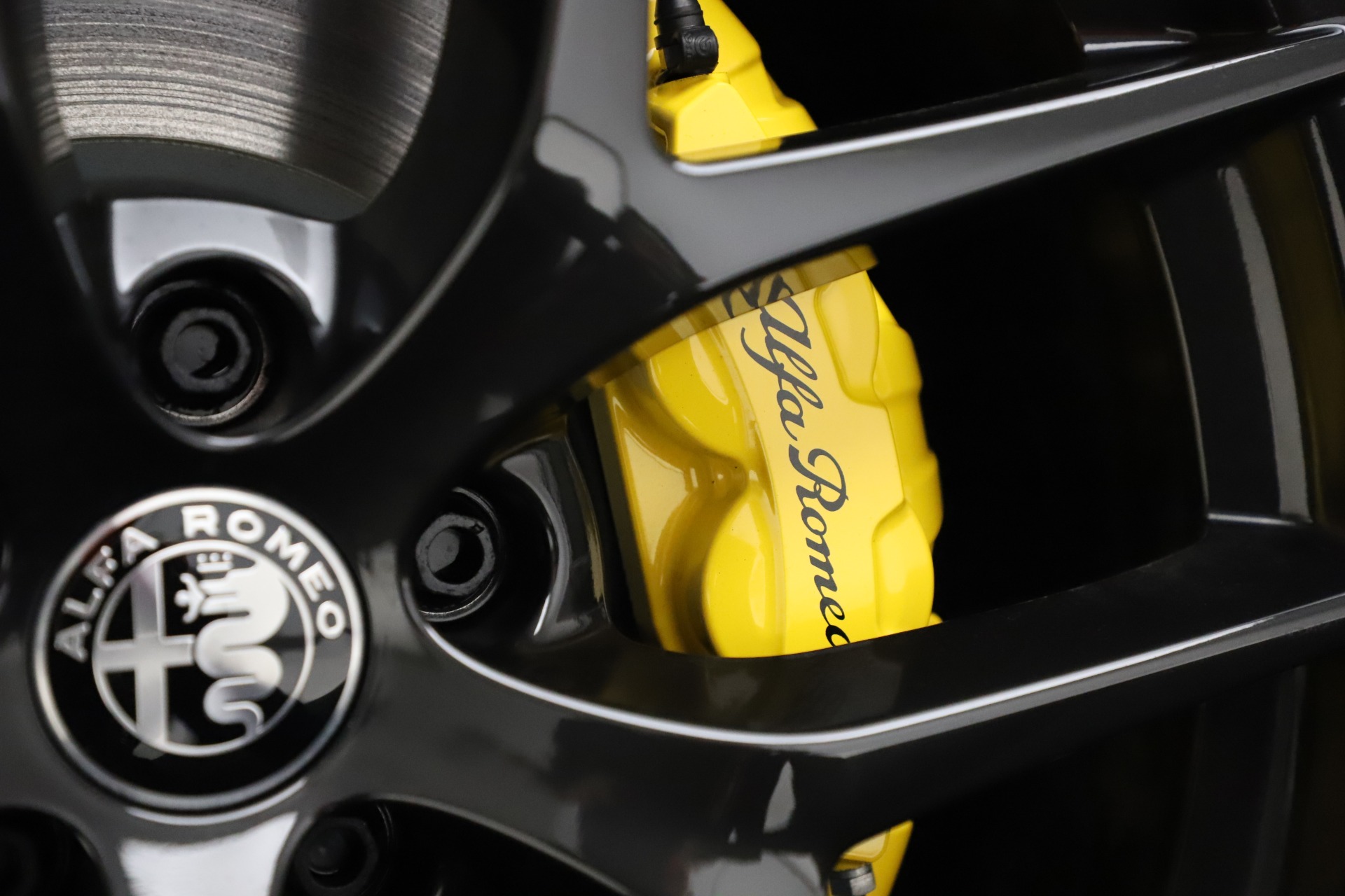 New 2020 Alfa Romeo Stelvio Ti Sport Q4 | St. Petersburg, FL