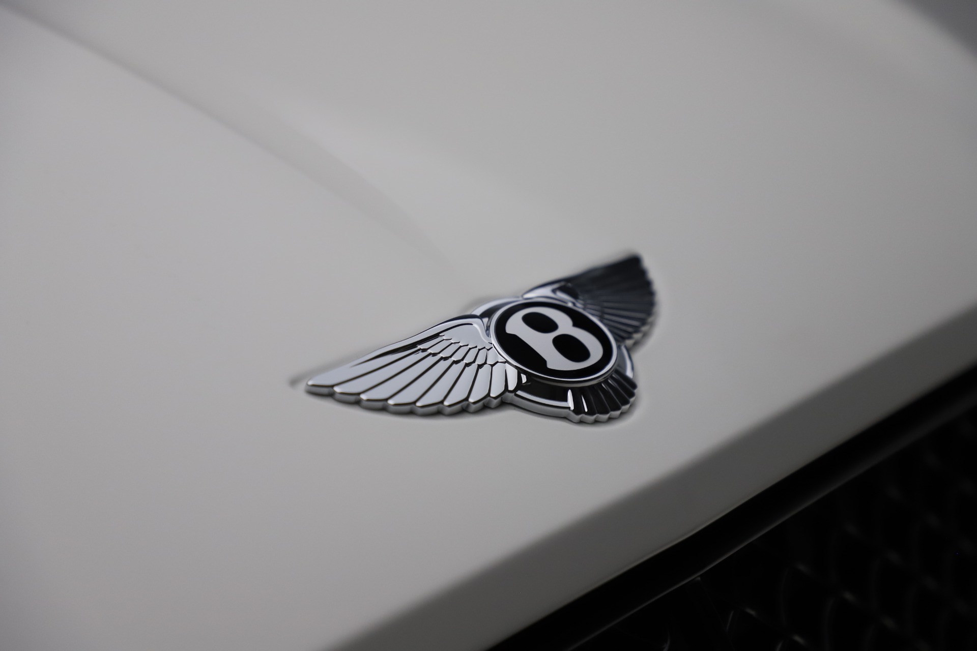 New 2021 Bentley Continental GT V8 | St. Petersburg, FL