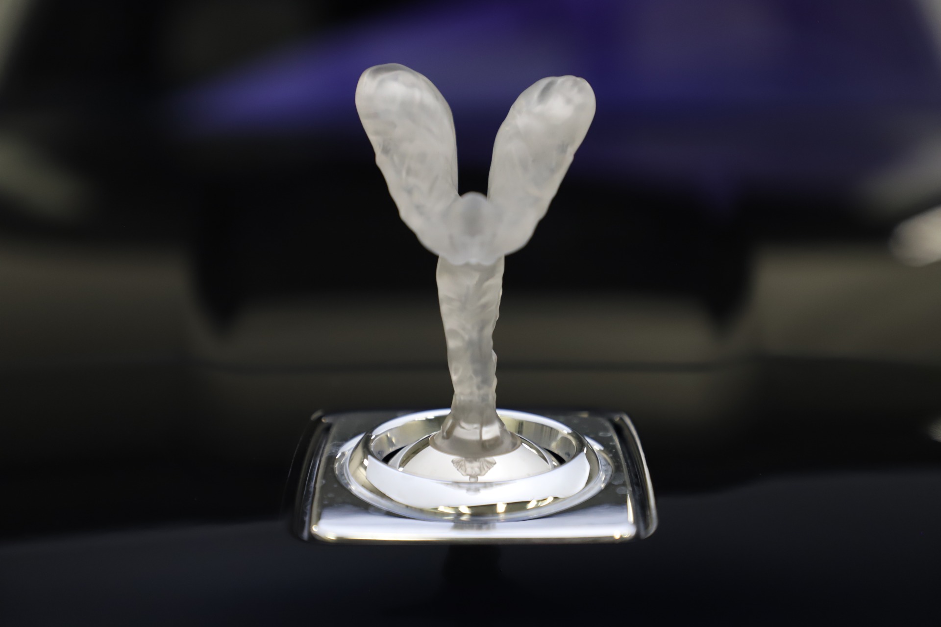 Used 2019 Rolls-Royce Cullinan | St. Petersburg, FL