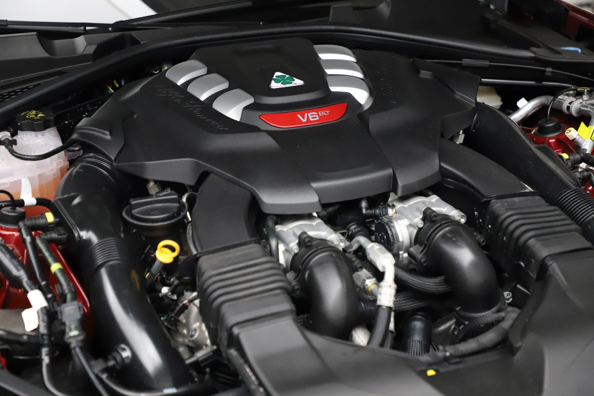 New 2021 Alfa Romeo Giulia Quadrifoglio | St. Petersburg, FL