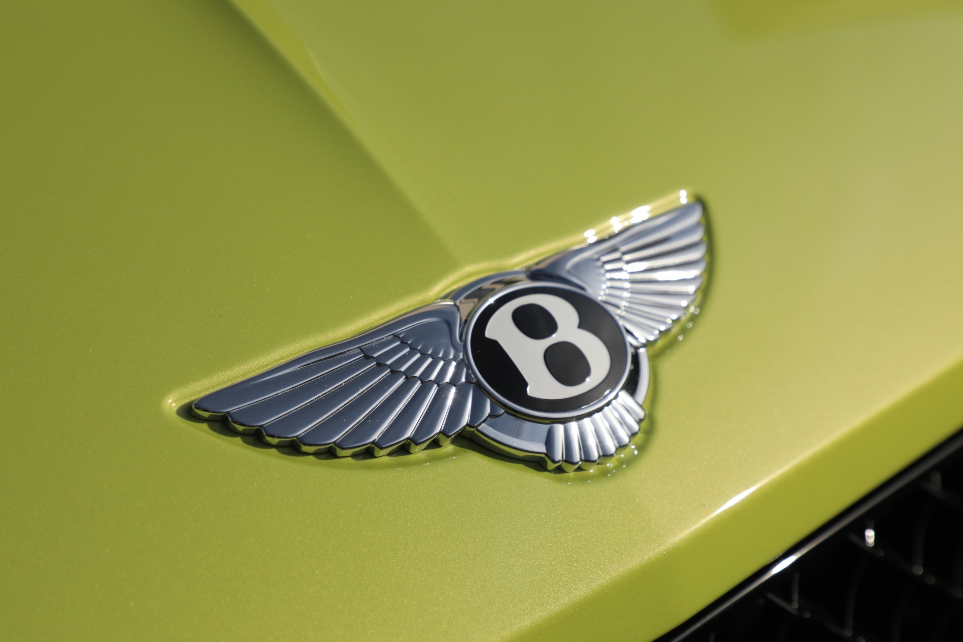 New 2022 Bentley Continental GT V8 | St. Petersburg, FL
