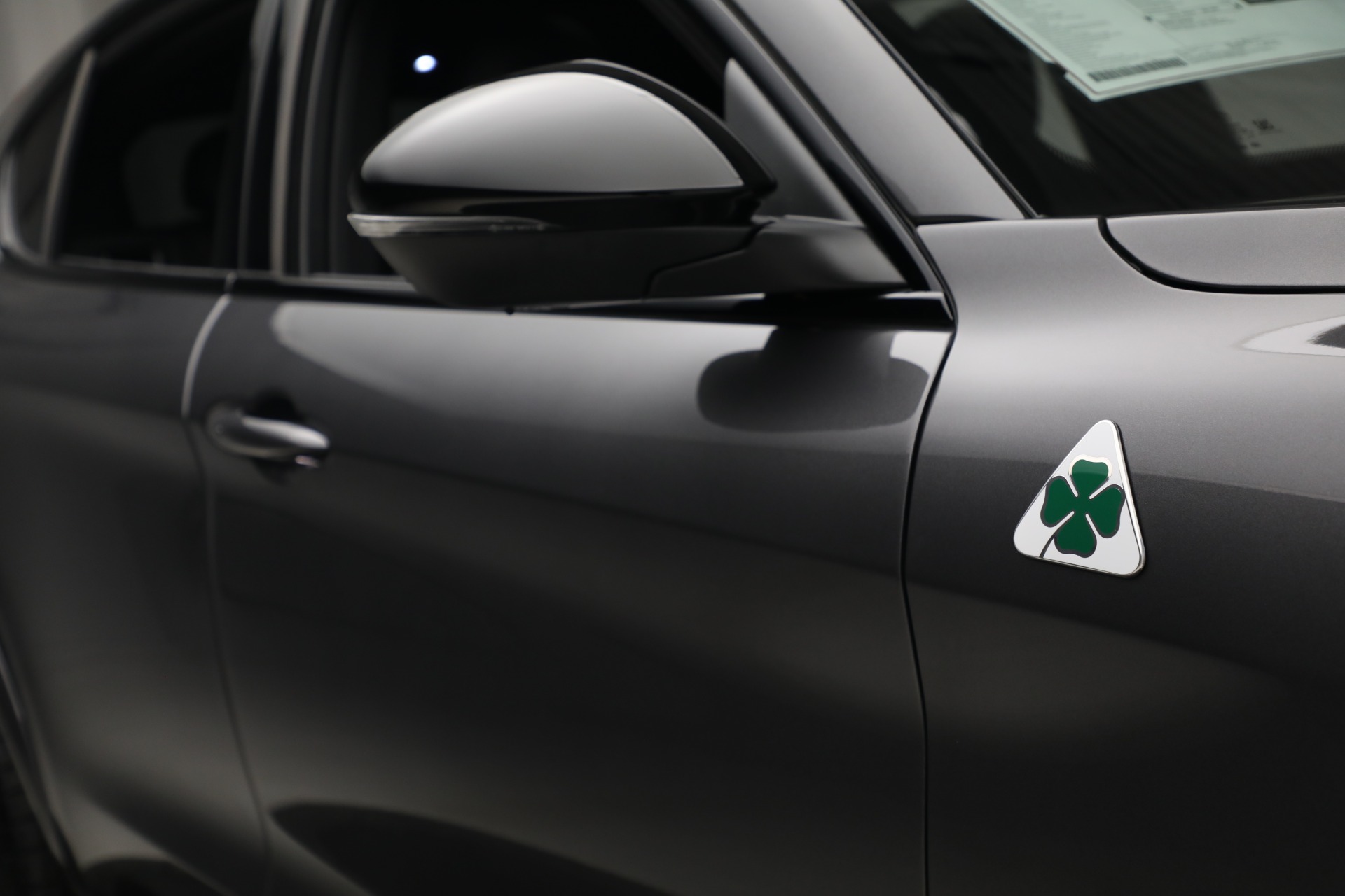 New 2022 Alfa Romeo Stelvio Quadrifoglio | St. Petersburg, FL