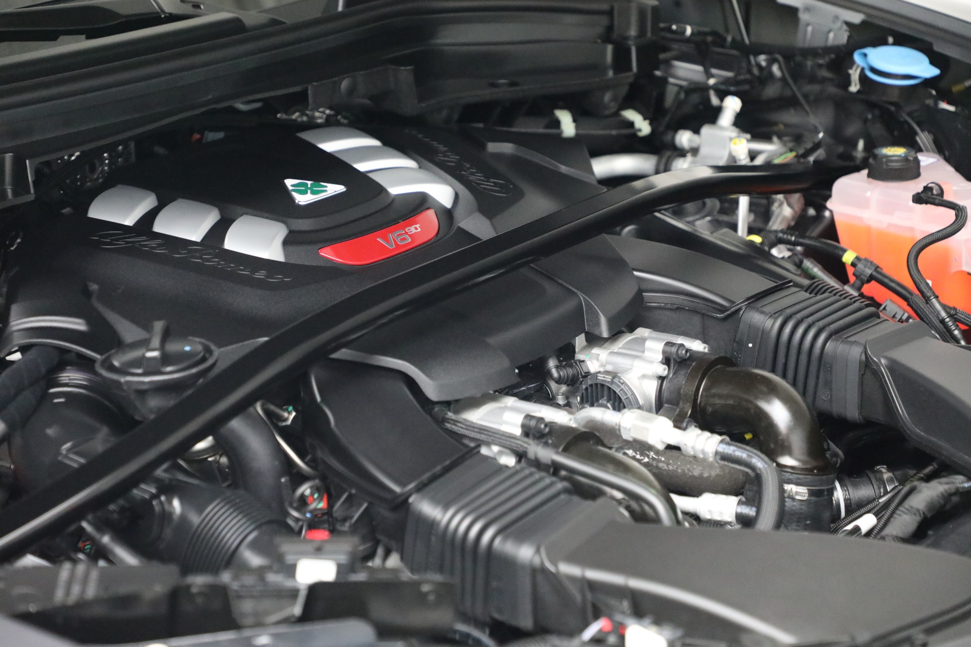 New 2022 Alfa Romeo Stelvio Quadrifoglio | St. Petersburg, FL