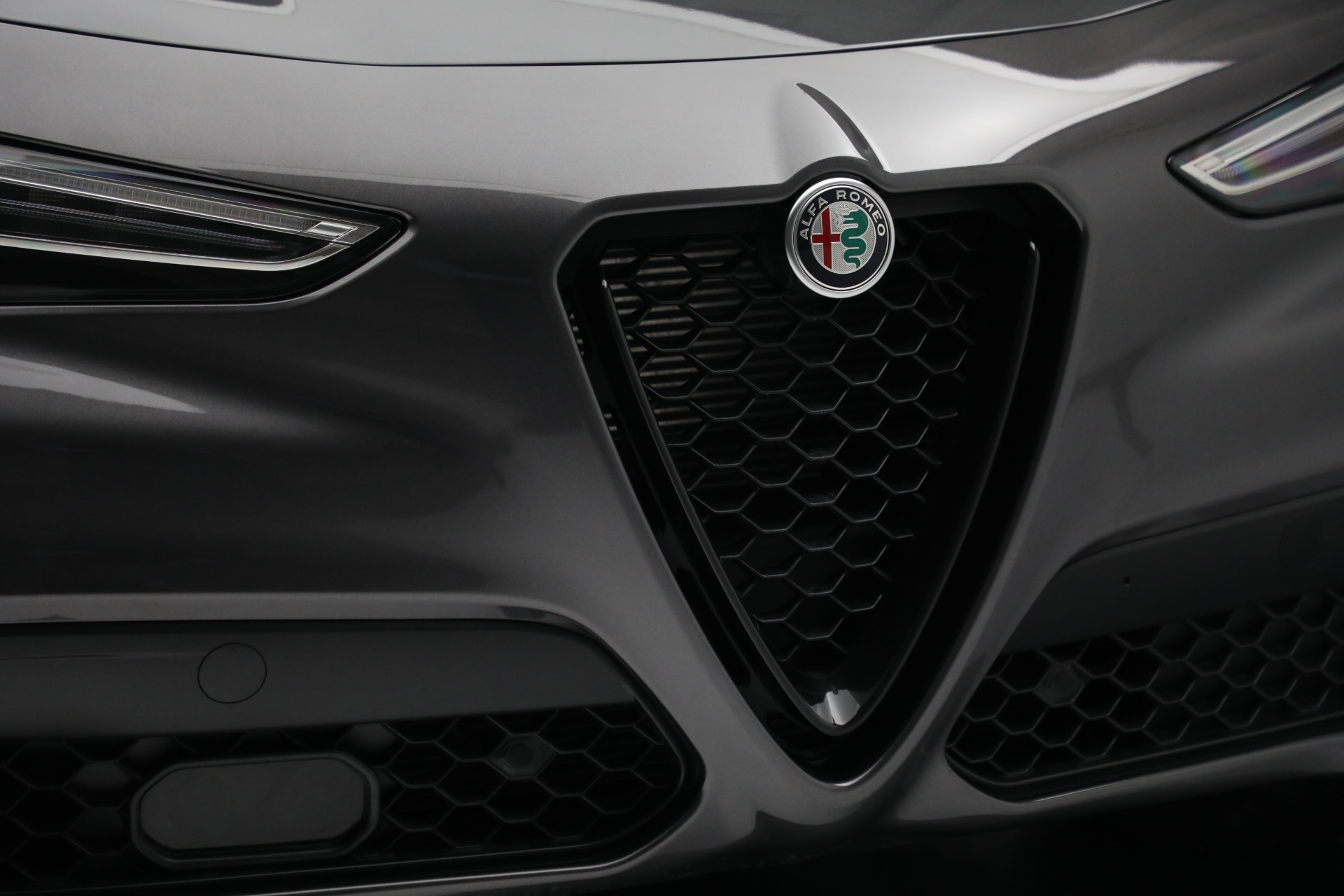 New 2022 Alfa Romeo Stelvio | St. Petersburg, FL