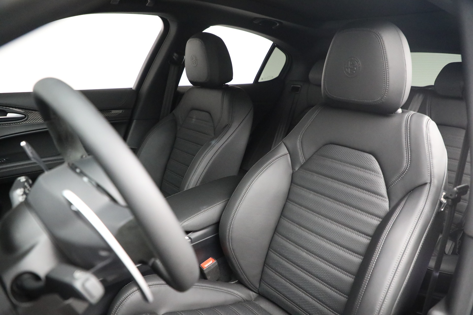 New 2022 Alfa Romeo Stelvio Quadrifoglio | St. Petersburg, FL