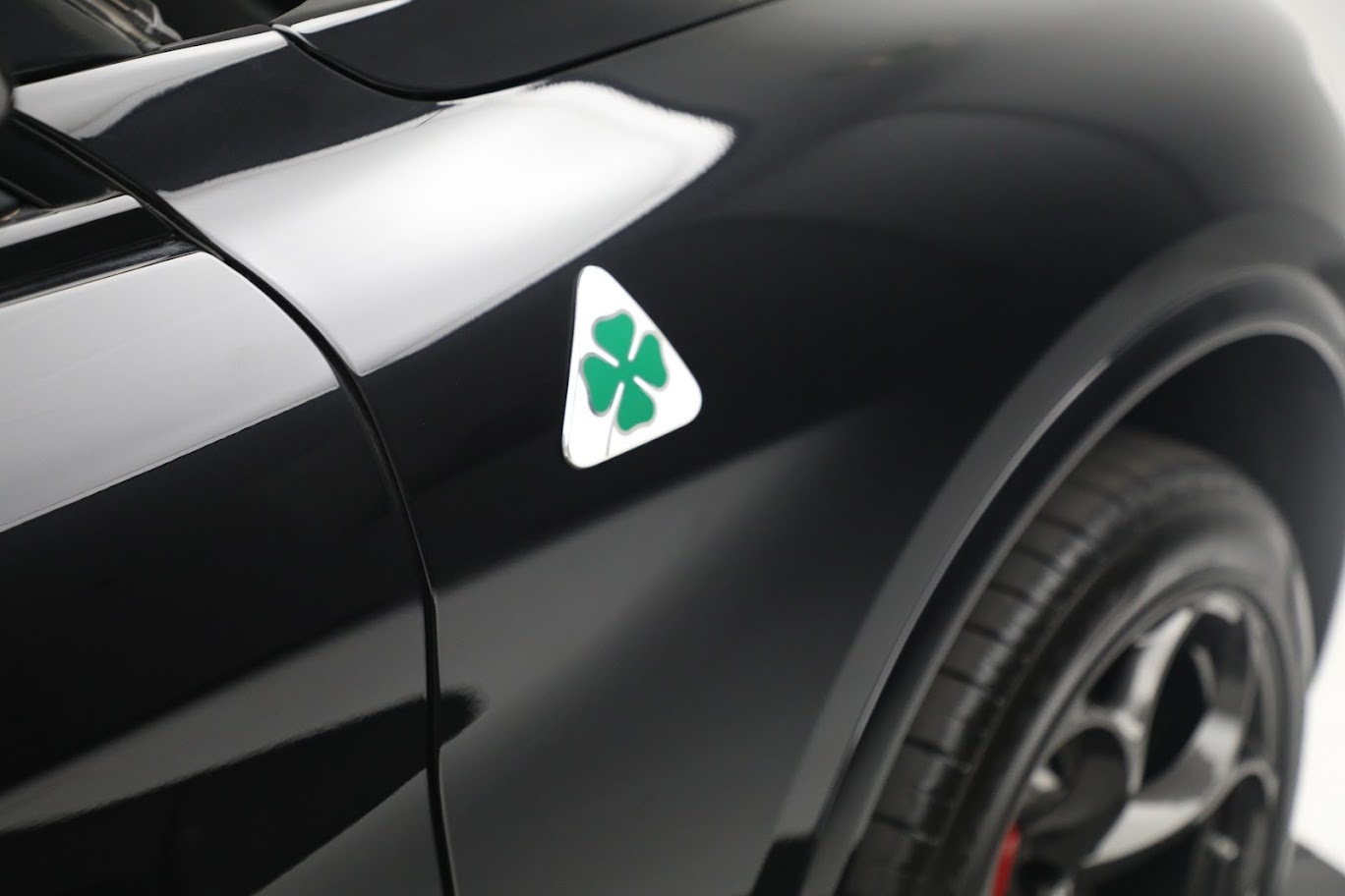 New 2022 Alfa Romeo Stelvio Quadrifoglio | St. Petersburg, FL