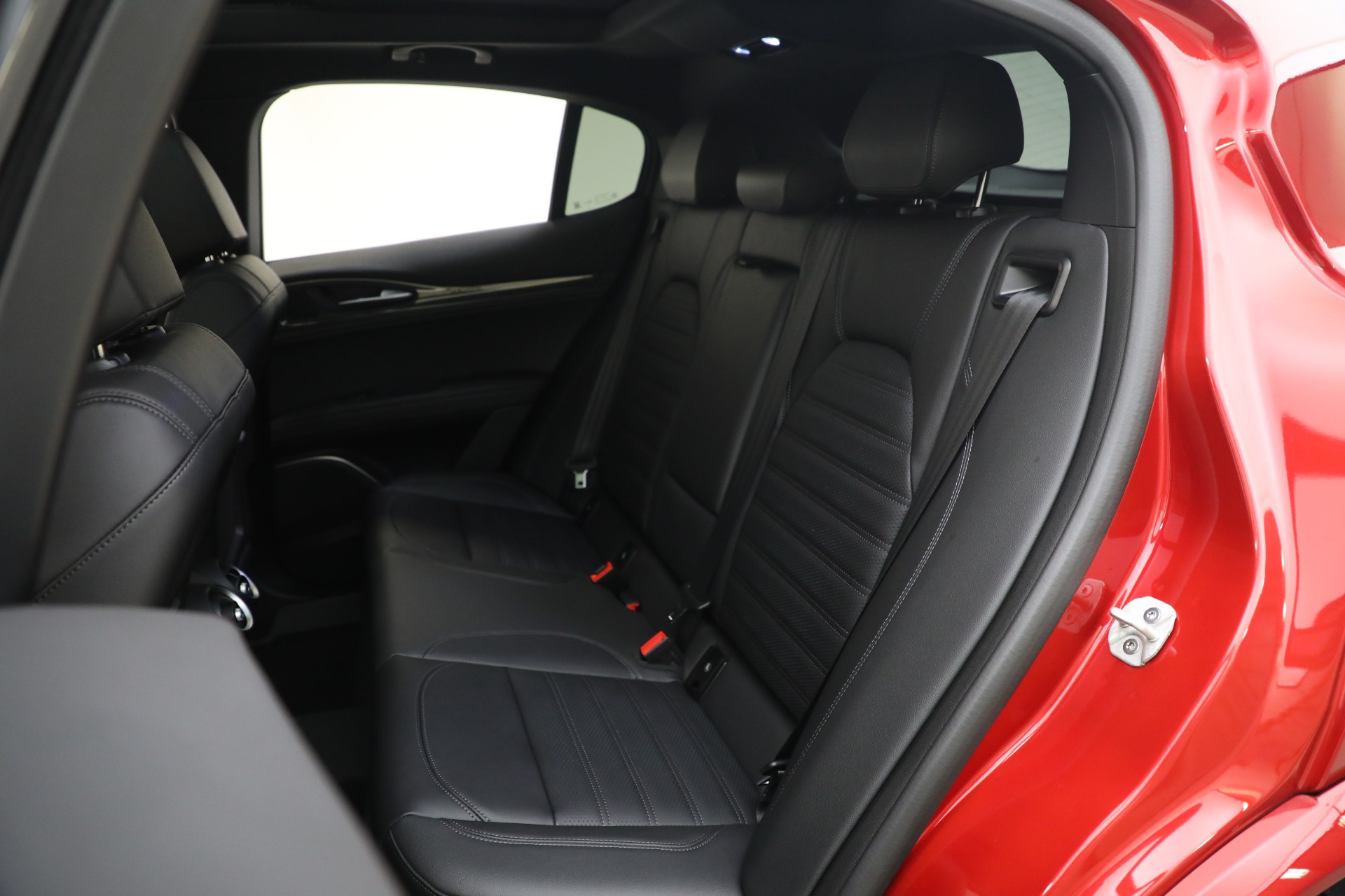 New 2023 Alfa Romeo Stelvio Quadrifoglio | St. Petersburg, FL