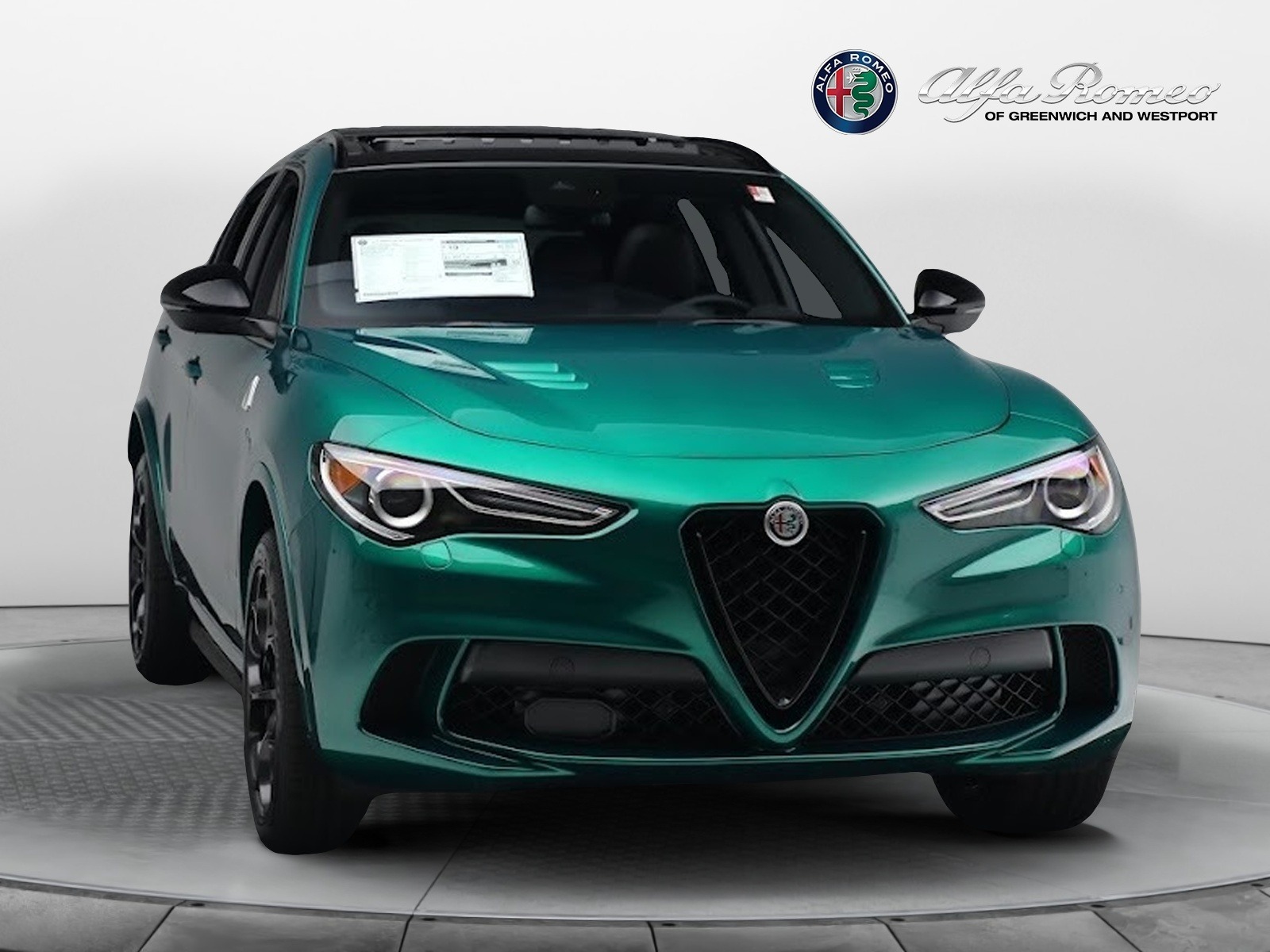 New 2023 Alfa Romeo Stelvio Quadrifoglio | St. Petersburg, FL