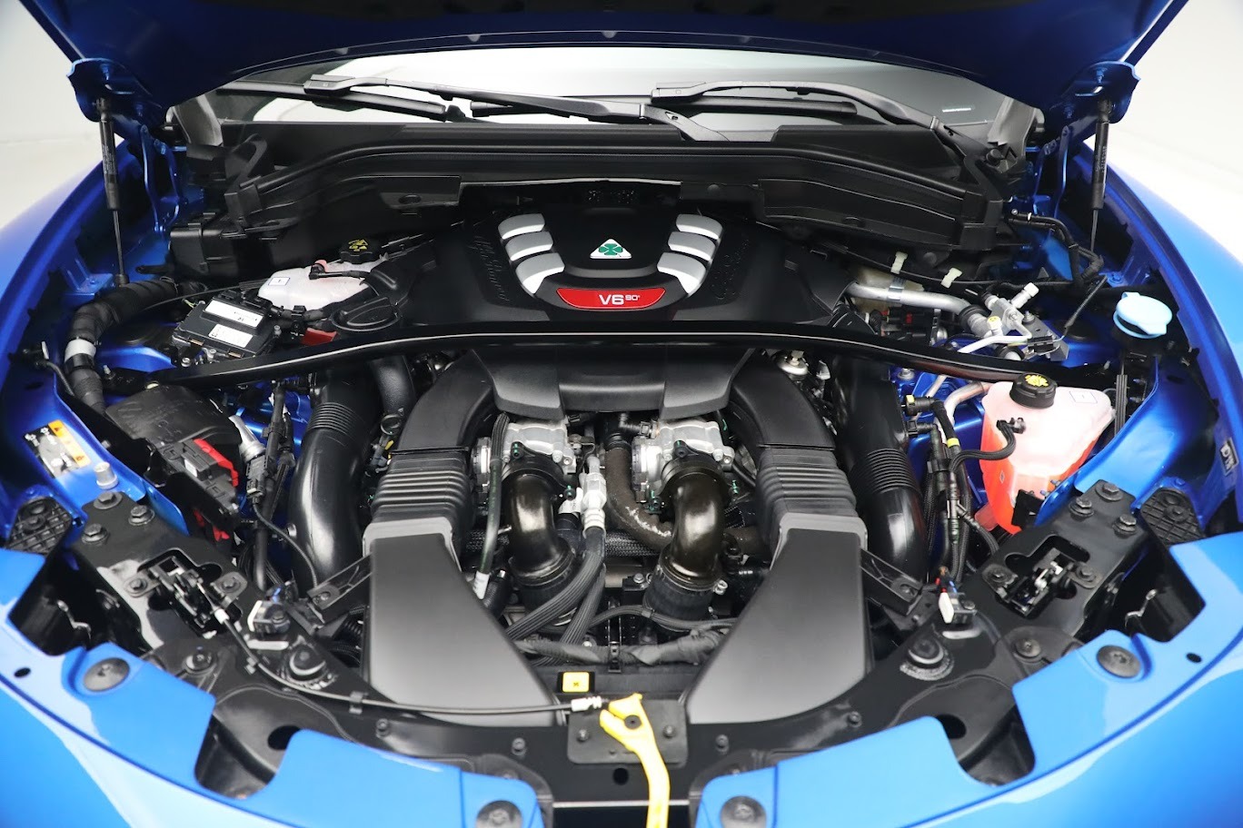 New 2023 Alfa Romeo Stelvio Quadrifoglio | St. Petersburg, FL