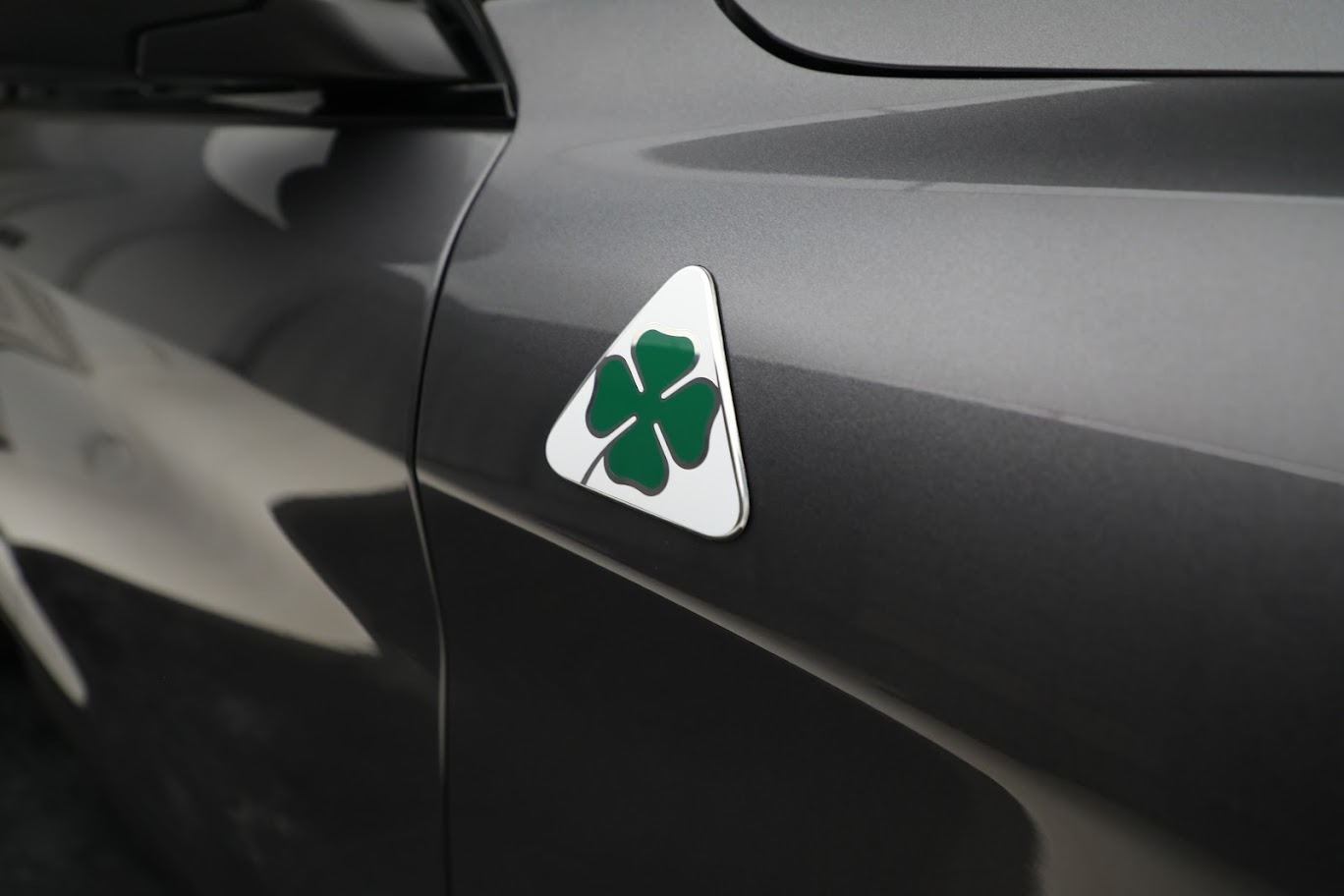 New 2023 Alfa Romeo Stelvio Quadrifoglio | St. Petersburg, FL