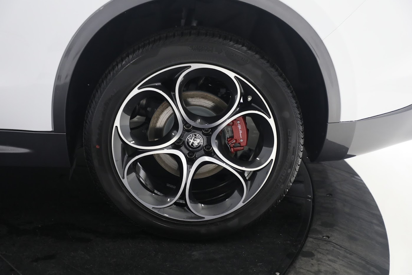 New 2024 Alfa Romeo Stelvio Ti | St. Petersburg, FL