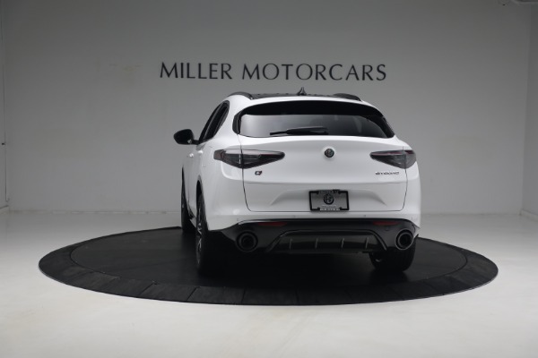 New 2024 Alfa Romeo Stelvio Ti | St. Petersburg, FL