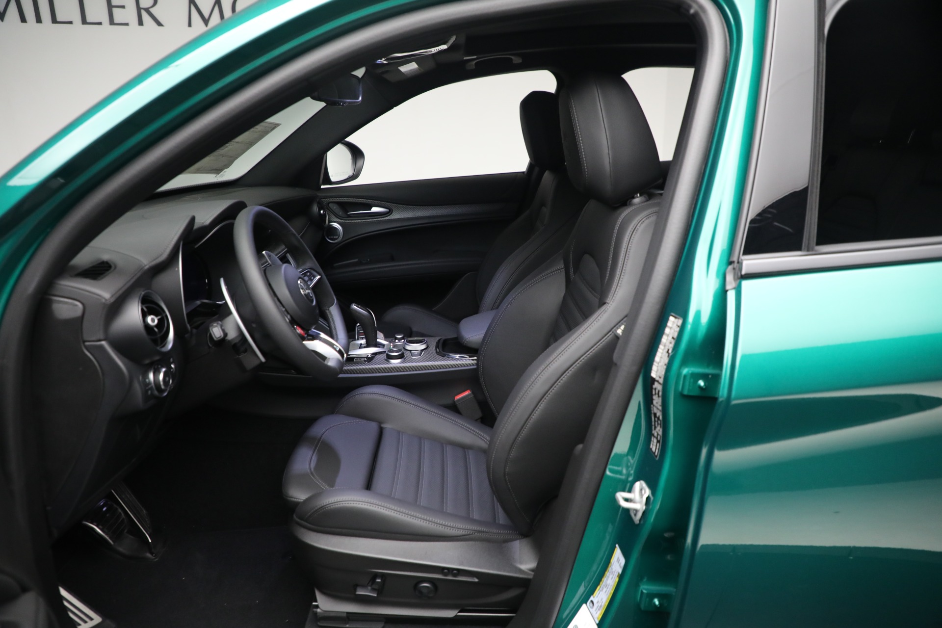 2024 Alfa Romeo Stelvio Quadrifoglio photo 29