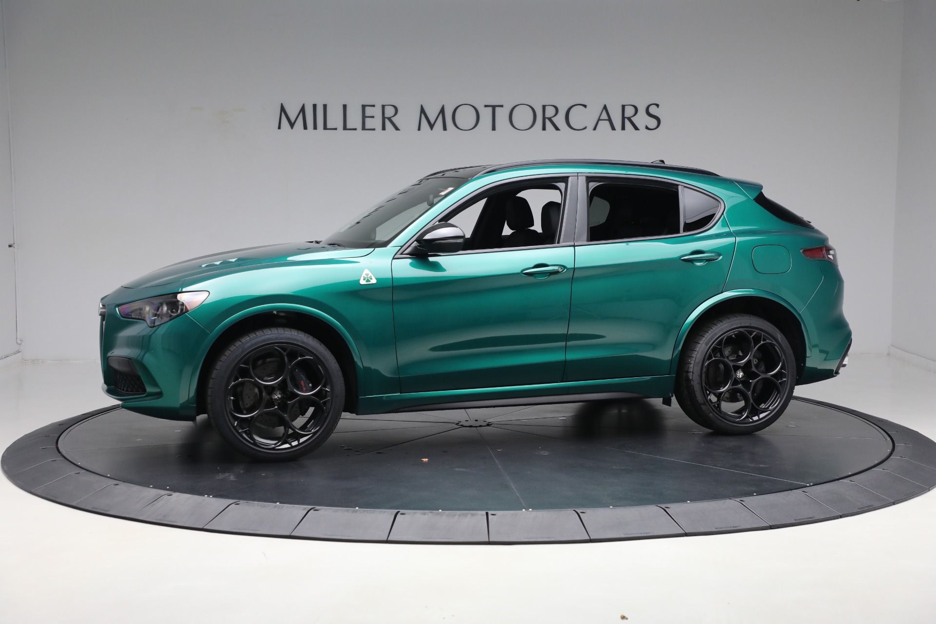 2024 Alfa Romeo Stelvio Quadrifoglio photo 6