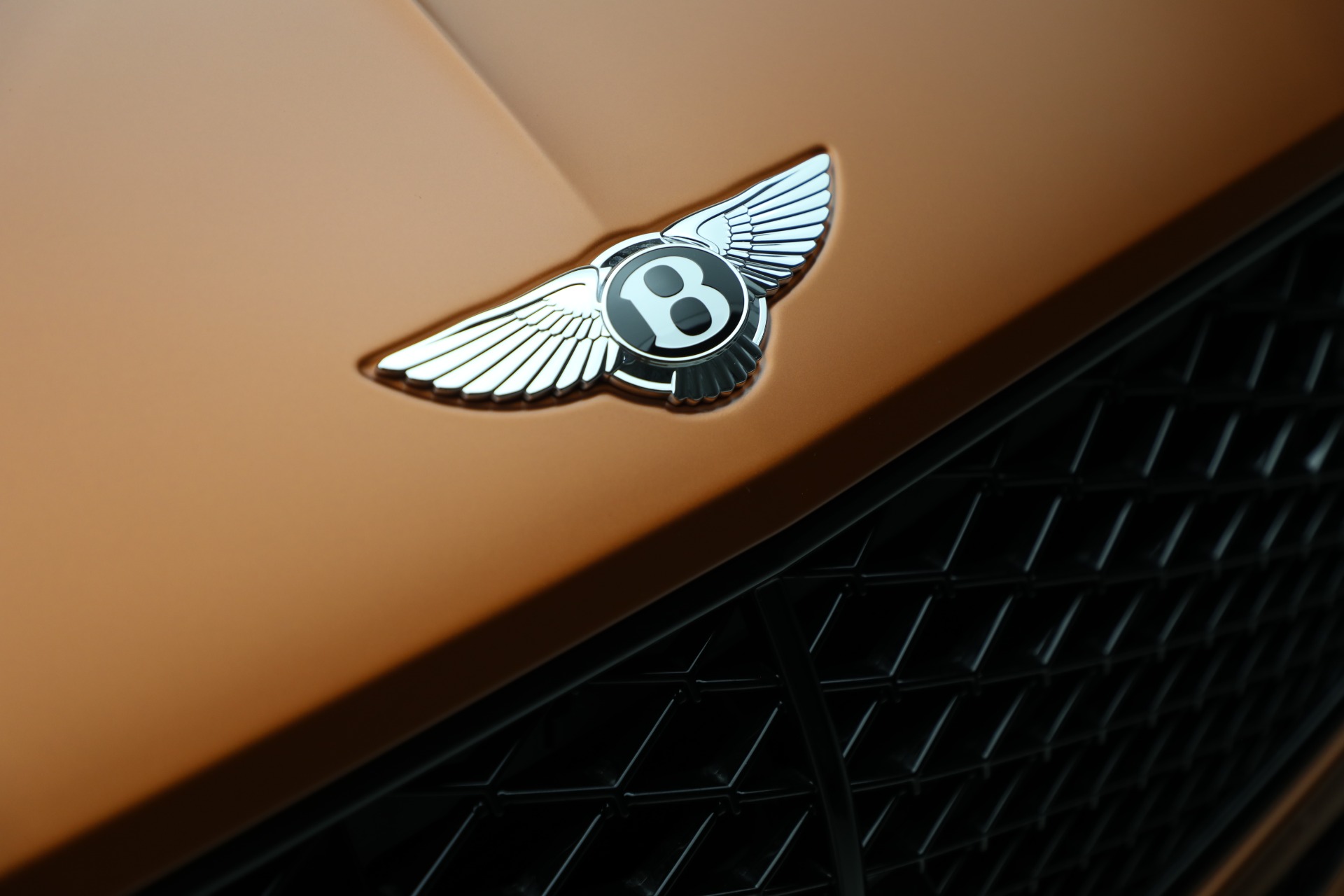 2025 Bentley Continental GT Speed First Edition photo 13